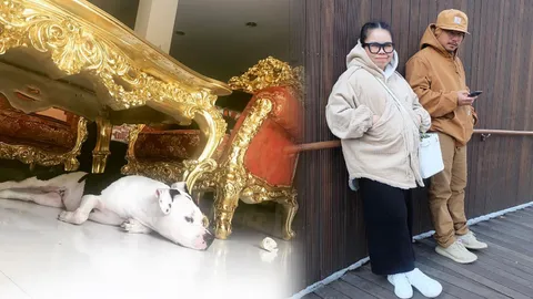 หรูหราอร่ามตา! ส่องเรือนหอ 'ตุ๊กกี้-บูบู้' อู้หู เก้าอี้หลุยส์ไฮโซ