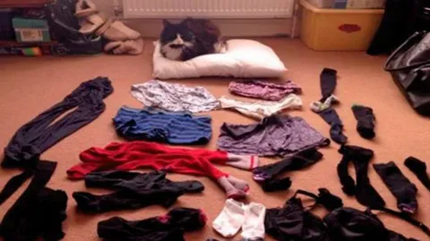 ไอ้​เหมียว​ขี้​ขโมย​ชุด​ชั้น​ใน