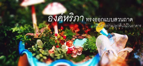 องค์หริภา ทรงออกแบบสวนถาด เป็นตัวอย่างปลูกต้นไม้ในอาคาร