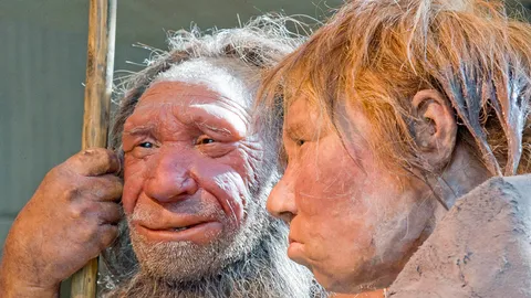 มนุษย์กินคนยุคหินอาจไม่ได้ล่ากันเองเพื่อเป็นอาหาร