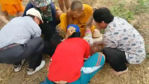 ควายแม่ลูกอ่อน ไล่ขวิดลุงมัคนายกวัดดังขอนแก่น ล้มตึงเจ็บสาหัส