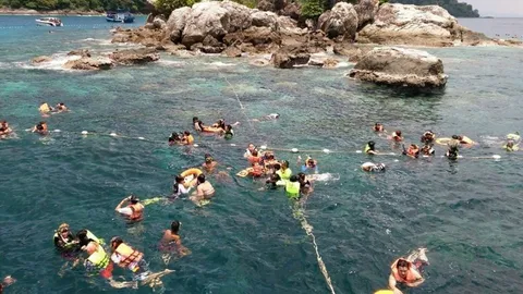 นักท่องเที่ยวไทย-เทศ แน่นเกาะช้าง ดำน้ำชมปะการังท้องทะเลตราด