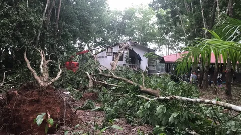พายุฤดูร้อนถล่มสวนยางสุราษฎร์ ต้นไม้ล้มใส่หลังคา ไฟฟ้าดับ
