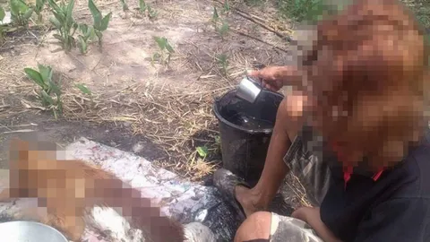 รวบลุงฆ่าสุนัขชำแหละขาย อ้างไม่รู้กฎหมาย ยากจนหาเงินเลี้ยงชีพ