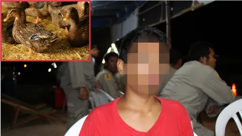 หนุ่มปลอมตัวมาซื้อเป็ด ส่งเด็กมาขัดดอก คนขายงงค่อนวันไม่มาจ่ายเงิน