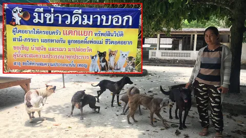 ติดป้ายแช่ง หน้าวัดเมืองคอนได้ผล คนปล่อยหมาแมวเป็นภาระพระน้อยลง