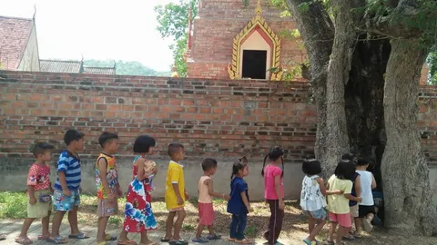 ขอหวยมั้ย? โพรงต้นมะขามยักษ์ 400 ปี เด็ก 14 คนมุดได้ ใหญ่สุดในเมืองเลย