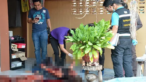 แทงโหดเจ๊สั้น แม่ค้าตลาดไท ฝีมือคนงานเขมรแค้น