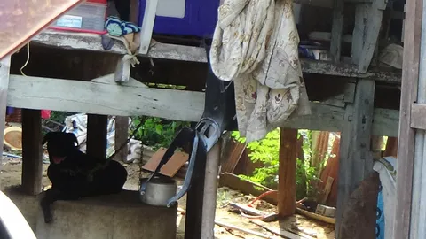 สยองซ้ำ! ร็อตไวเลอร์ตรงขย้ำยายวัย 86 กัดหัวแผลลึกถึงกะโหลก อาการสาหัส