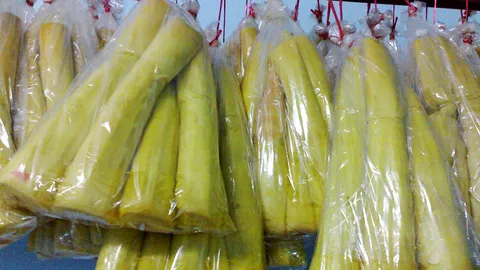 เชื้อก่อโรคใน...หน่อไม้ปี๊บ