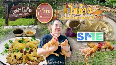 ไก่เบตงของแท้ เพิ่งมี 3 ปีนี่เอง