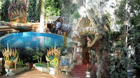 ลี้ลับชวนขนลุก!  หวย ผีจ้างหนัง ดินแดนพญานาค  9 อาถรรพ์ป่าคำชะโนด