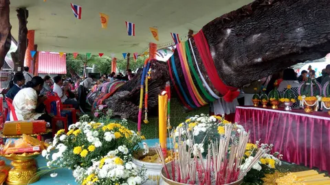 คอหวยอุบลฯ ร่วมพิธีบวงสรวงเจ้าแม่ตะเคียนทอง ฮือฮา!! เลขเด็ด 333-29-92 