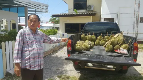 จับได้คาหนังคาเขา โจรแสบขโมยทุเรียน สวนอดีตกำนันที่ระยอง 