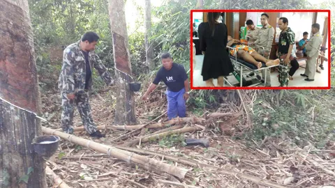 สาวสวนยางสุดระทึก เผชิญหน้าช้างป่า โชคดี แค่เตะเบาๆแล้วเดินจากไป 