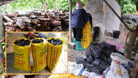 คนเผาถ่าน อยู่กับบ้านจังหวัดจันทบุรี ลุงกับป้าได้เดือนละหมื่นสี่ 