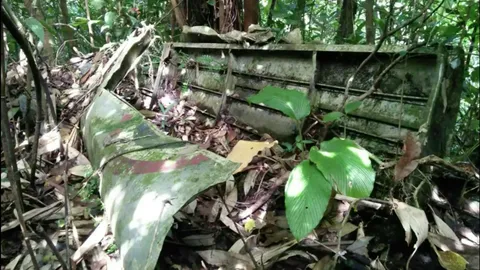 คาดซากเครื่องบินใบพัดตกกลางป่าระนอง เป็น ที-6 ของ ทอ.ไทย (คลิป)