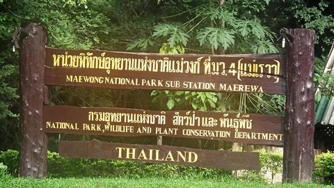 เป็นหูเป็นตา! อุทยานฯแม่วงก์ให้รางวัลนำจับ พรานลอบล่าสัตว์ คดีละ 2พัน	