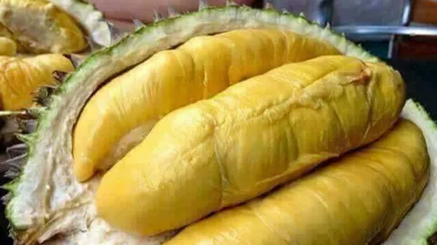 จีนระอา!ทุเรียนย้อมขมิ้น