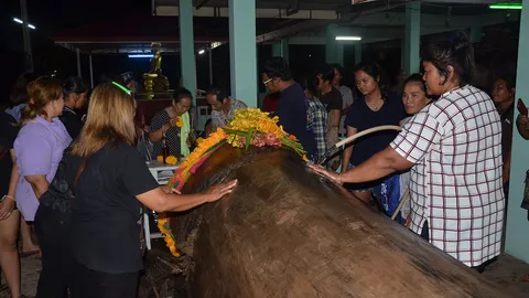 พบต้นตะเคียน 200 ปีกลางน้ำ ทำเด็กหญิง 14 ปีมีอาการคล้ายผีเข้า 