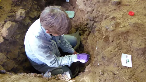 ตรวจสอบมนุษย์โบราณ ด้วยสารพันธุกรรมในดิน