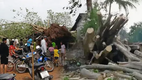 รู้แล้วร้องอ๋อ! ไขปริศนาคาใจ ไฉนต้นโพธิ์กว่า 100 ปี ดีดตัวตั้งขึ้นเอง (ชมคลิป)