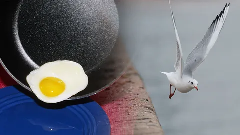 งงดิ อันตรายกับนก! ไขข้อข้องใจ ดราม่ากระทะเทฟลอนเสี่ยงมะเร็งจริงหรือ? 