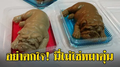 กล้ากินมั้ย? วุ้นกะทิหมาปั๊ก เจ้าของร้านเผยพรีออเดอร์ทะลัก