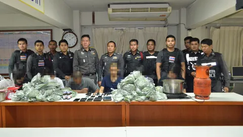 รวบ 6 ราย เช่าบ้านซอยรามคำแหง24 ขายใบกระท่อม 