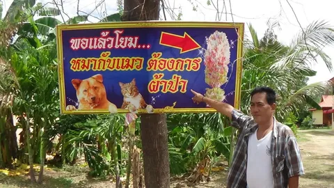 ผ้าป่าบ้างโยม! วัดดังอ่างทองขึ้นป้ายขอร้อง อย่าเอาหมาแมวมาปล่อย (คลิป)