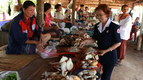 เห็ดโคน-เห็ดระโงก ของป่าอำนาจเจริญ ชาวบ้านเก็บขายช่วงฝนเท!