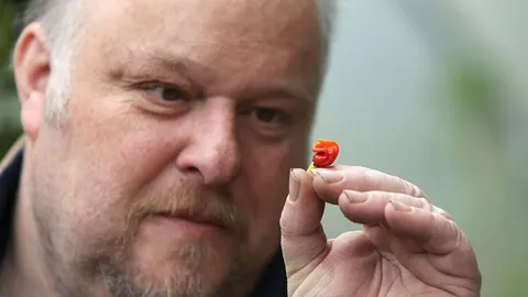 เชฟชาวเวลส์เพาะพันธุ์ ‘พริก’ เผ็ดสุดในโลกชนิดใหม่ ร้อนแรงจนทำคนตายได้