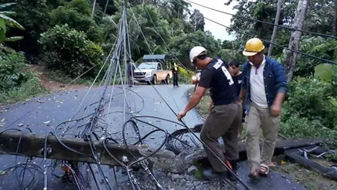ชาวเกาะช้างเสนอไอเดีย กฟภ.ย้ายสายไฟลงดิน แก้พายุพัดต้นไม้หักทับสายไฟ