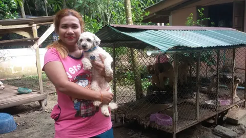 ใจกุศล! สาวกระบี่ เลี้ยงหมา-แมวจร แบกภาระ 35 ตัว วอนอย่ามีใครทิ้งเพิ่ม (คลิป)