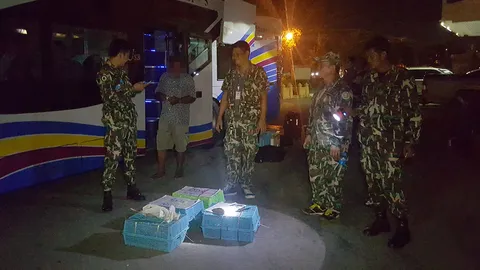 สกัดรถทัวร์จับคนขับ ลอบขนนกปรอทหัวจุก-ต่างด้าว จากกทม.ส่งเมืองคอน