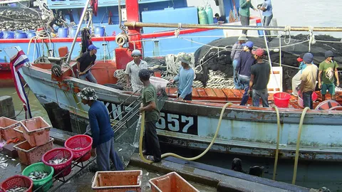 เร่งแก้กฎหมายประมงรับมือ"ไอยูยู"