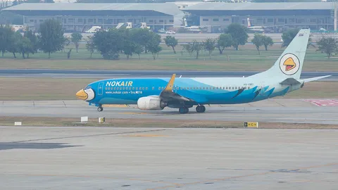 "พาที" ดิ้นดึงจีน-สิงคโปร์สวม บินไทยหักปีก!กลับลำไม่เพิ่มทุนนกแอร์