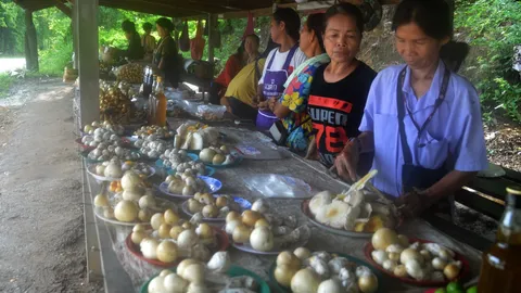 เลย ฝนตกชุกชาวบ้านแห่เก็บเห็ดป่าขาย รายได้ดี