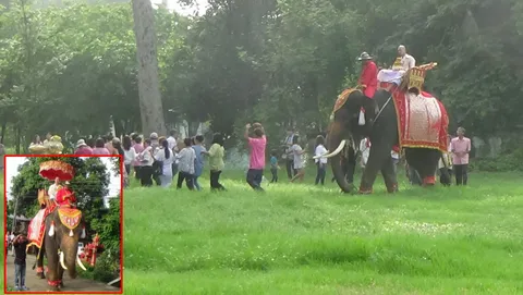 2 ตา-ยาย แก้บนหลานหายป่วย เช่าช้างแห่บวชนาค-จัดหนัก รำวง 3 ชุด 