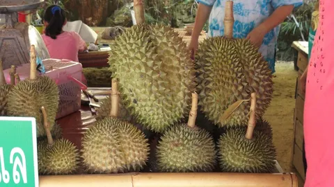 กินเลย! ทุเรียนเทพ หลง-หลินลับแล ของแท้อุตรดิตถ์ บริโภคตอนนี้อร่อยสุด