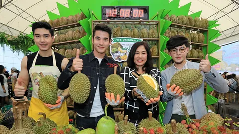 ‘มาริโอ้’ แท็กทีม ‘ทอม’ ตะลุยฟินกินทุเรียน