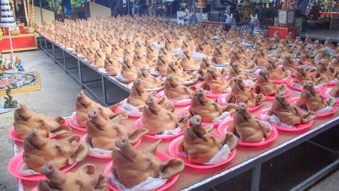 ประมูลได้งานใหญ่ ผู้รับเหมาถวายหัวหมู 500 หัว แก้บนวัดดังนครปฐม