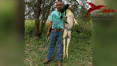 โคตะระกบยักษ์หนัก 5 กก.