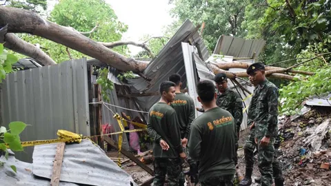พายุฝนซัดต้นโพธิ์อายุกว่า 100 ปี โค่นทับเพิงคนงาน ดับ 1 เจ็บ 1