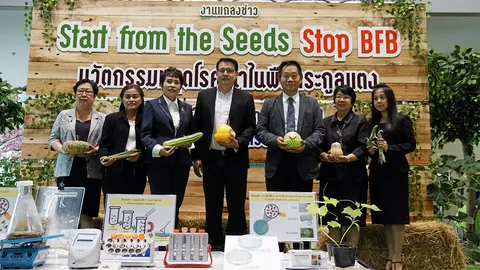 ไบโอเทค+เจียไต๋..สร้างนวัตกรรม สกัดโรคผลพืชตระกูลแตงเน่า