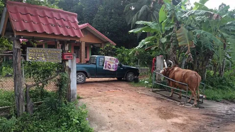 ออกหมายจับแล้ว 2มือปืน ยิงถล่มอดีตรองนายก อบจ.เมืองคอน