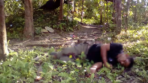 ลวงหลานครูเปาะสู อดีตคนดังแห่งจารังตาดง ยิงทิ้งคาสวนยาง