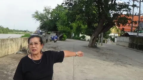 ก้ามปูนักเลง ยืนกลางถนนที่อ่างทอง ชาวบ้านเชื่อศักดิ์สิทธิ์ แห่ถูขอเลข