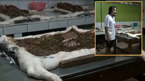 คนย่างหมูเมืองตรังร้อง พ.ร.บ.ควบคุมฆ่าสัตว์ฯ ทำสูตรอร่อยดั้งเดิมเพี้ยน