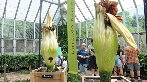 รอนานถึง 10 ปี